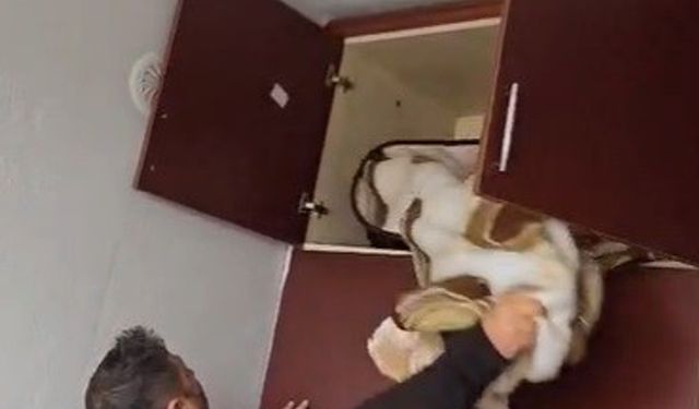 Aranan şahsın yakalandığı yer pes dedirtti