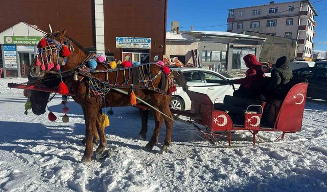 Atlı kızaklar donan göl için hazırlandı