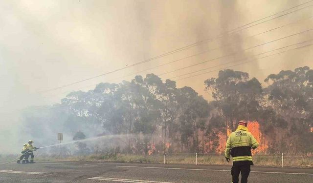 Avustralya’da devam eden orman yangınlarında itfaiye görevlisi öldü