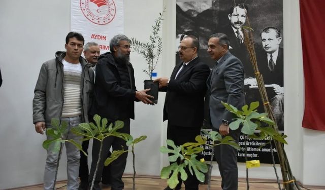 Aydın’da üreticilere 74 bin 90 fide dağıtılacak