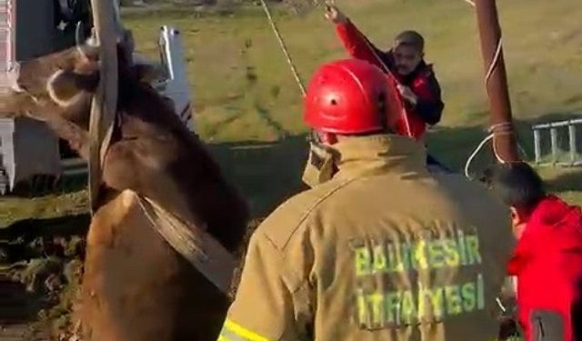 Balıkesir’de kuyuya düşen inek kurtarıldı