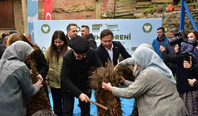 Balıkesir’de susam üreticisine büyük destek: Alım fiyatı 155 TL’ye yükseldi