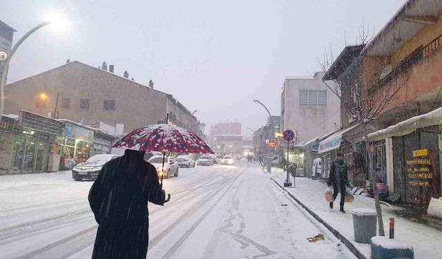 Başkale’de kar yağışı etkili oldu