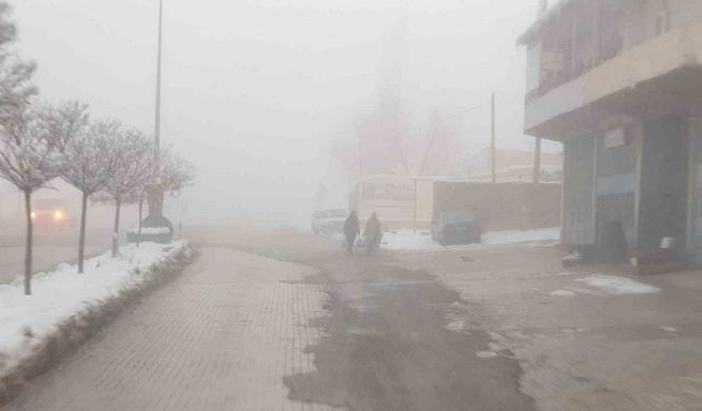 Başkale’de sis etkili oldu