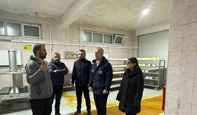 Bayburt’ta süt işleme ve peynir üretim tesisine çevre denetimi
