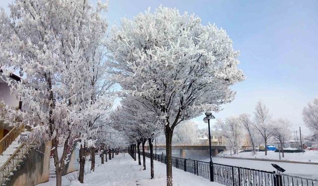 Bayburt’un Arpalı Beldesi güne kar yağışıyla uyandı