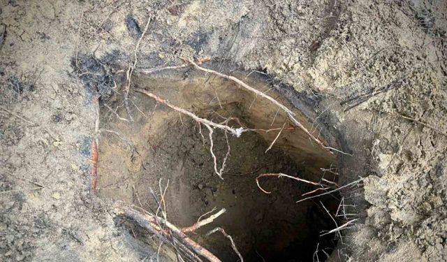 Belarus’ta 180 kaçak göçmen kazdıkları tünelle Polonya’ya geçti