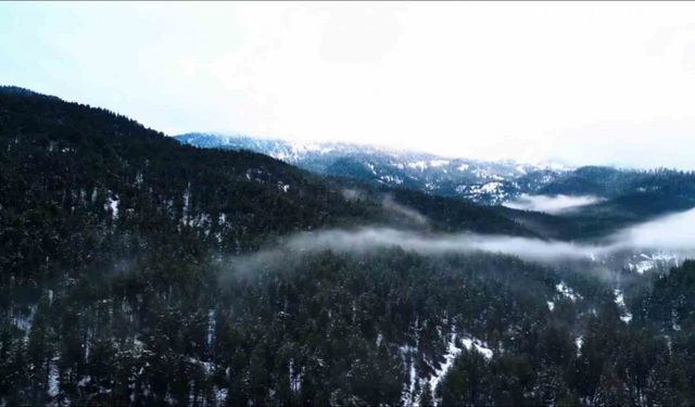 Beyaza bürünen Ilgaz Dağı havadan görüntülendi