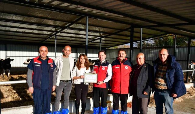 Biga’da kaliteli hayvansal üretim yapan üreticiye Ari İşletme Belgesi