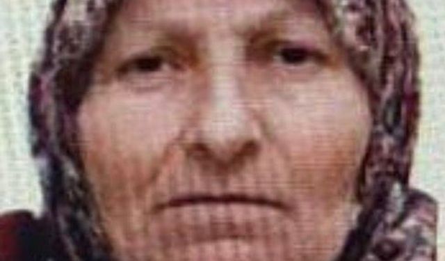 Bilecik’te kaybolan yaşlı kadını jandarma buldu