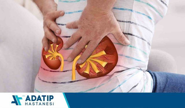 Böbrek taşı vakalarında kişiye özel tedavi