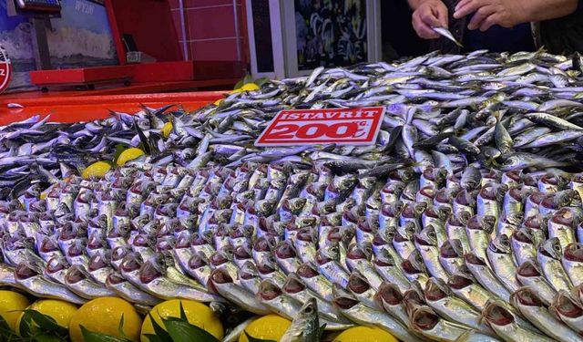 Bolu’da fırtına balık tezgahlarını vurdu