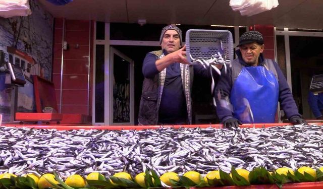Bolu’da hamsinin kilosu 150 liraya düştü