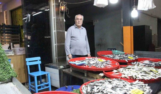 Bozdoğan’da balık tezgahlarının en çok tercih edilen çeşidi hamsi oldu