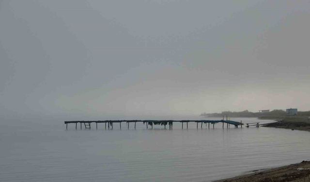 Çanakkale Boğazı sis nedeniyle transit gemi geçişlerine kapatıldı