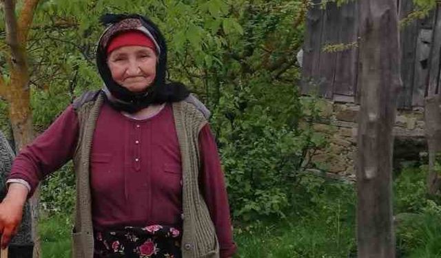 Çanakkale’de kaybolan Alzheimer hastası ölü bulundu