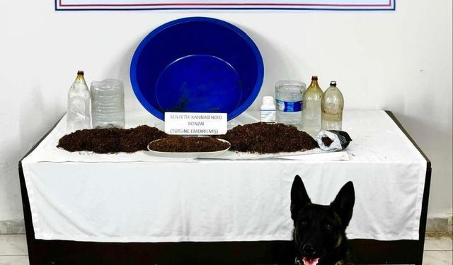 Çankırı’da uyuşturucu operasyonu: 1 gözaltı