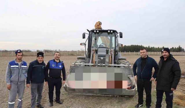 Çifteler’de 215 kilogram kaçak at eti ele geçirildi