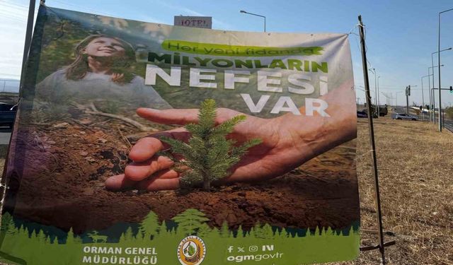 Cizre’de havalimanı yolu 450 fidan ile yeşilleniyor