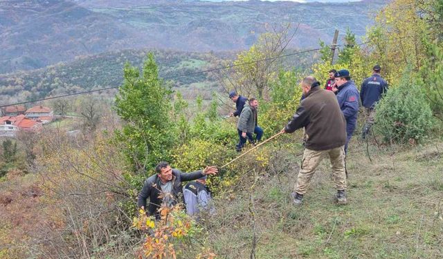 Defne toplarken kaybolan kadının cansız bedeni bulundu: O anlar İHA kameralarına yansıdı
