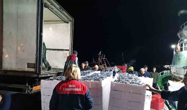 Demirköy’de hamsi denetimi