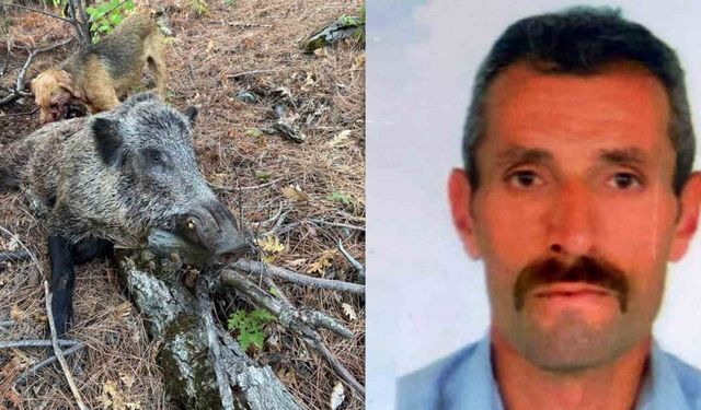 Erzincan’da domuzun saldırısına uğrayan avcı öldü