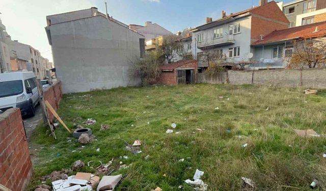 Eskişehir’de boş arsada 8 ölü kedi bulundu