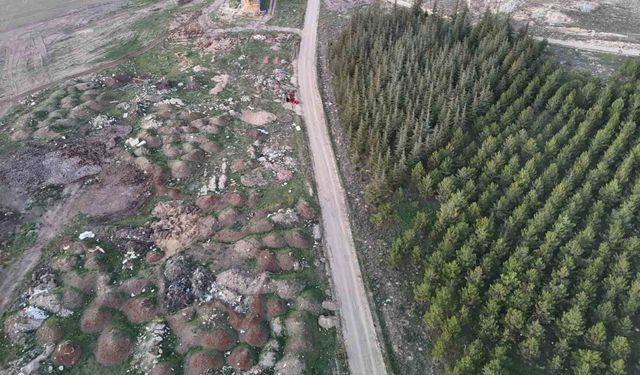 Eskişehir’de tezat görüntü: Bir yanda yeşil ağaçlar, bir yanda çöp yığınları