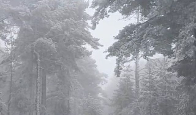 Eskişehir’e mevsimin ilk karı yağdı