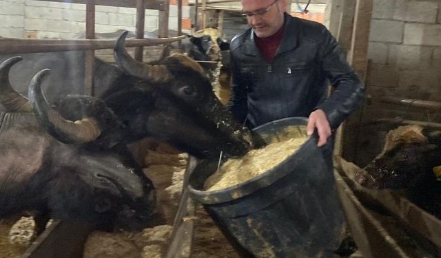 Giresun'da 286 manda işletmesine 12,3 milyon TL destek