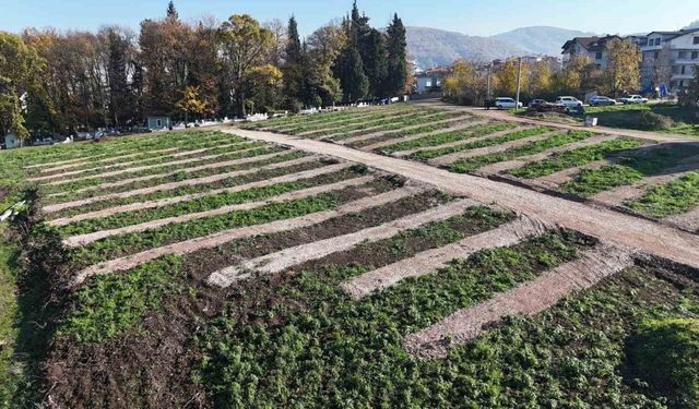 Gölcük’e yeni mezarlık alanları hazırlandı