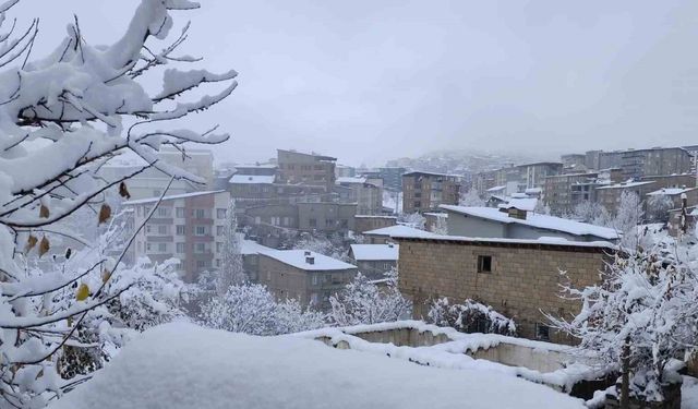 Hakkari’de 13 köy ve 30 mezra yolu ulaşıma kapandı