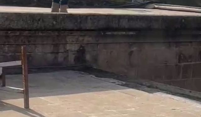 "İşten atıldım" diyerek Balıklıgöl’e atladı