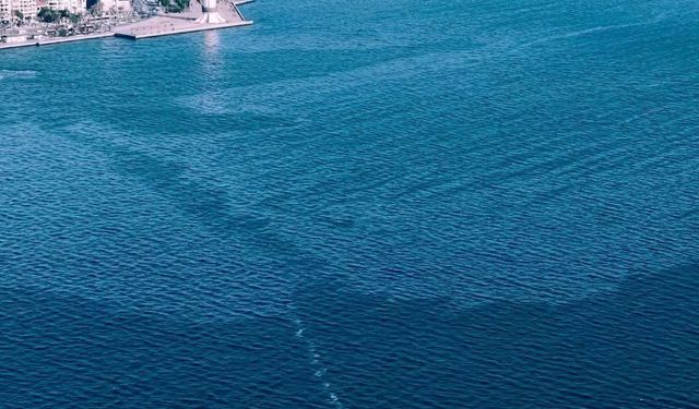 İzmir Körfezi’nde çevre kirliliği