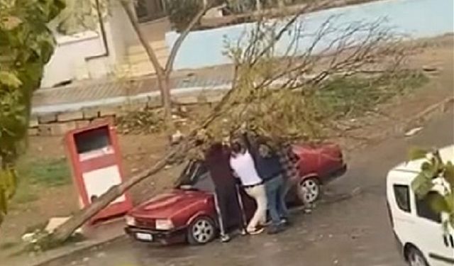 İzmir’de park halindeki otomobilin üzerine ağaç devrildi