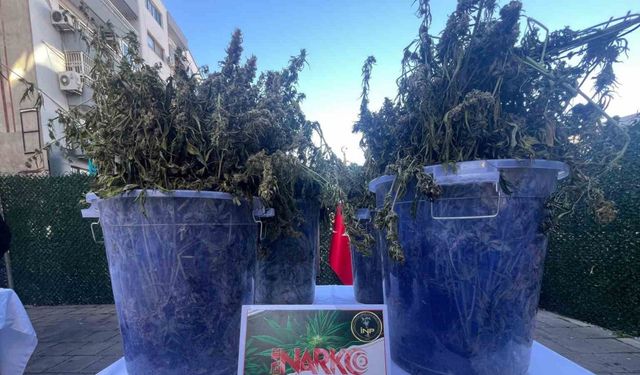 İzmir’de tek operasyonda 3 milyon uyuşturucu hap ele geçti: 46 tutuklama