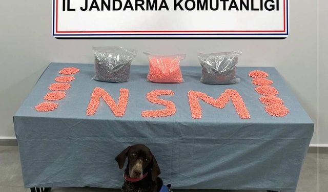 Jandarma KOM’un başarılı operasyonunda 28 bin adet uyuşturucu hap ele geçirildi