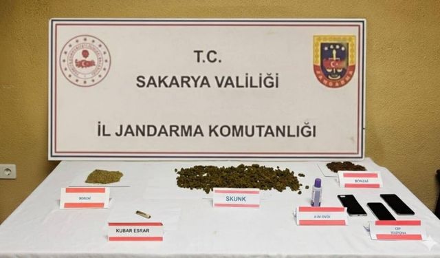 Jandarmadan uyuşturucu baskını: Ev sahibi tutuklandı