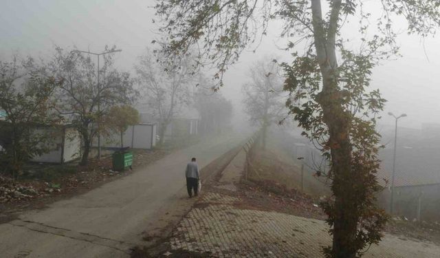 Kahramanmaraş’ta sis etkili oldu