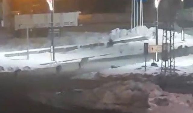 Karayazı’da akşam saatlerinde kurt alarmı