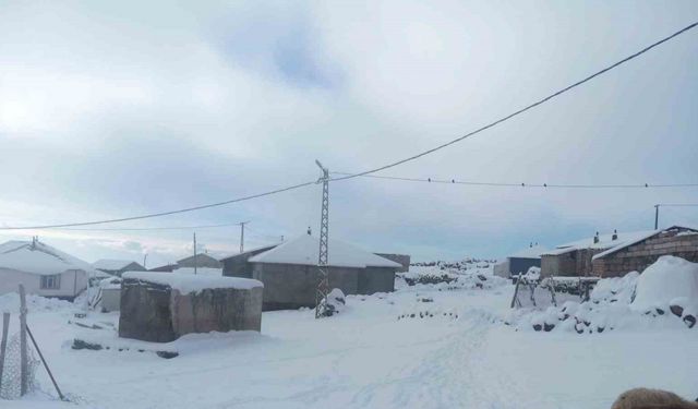 Karla birlikte Türkiye’nin en yüksek köyü Kışkılı’da besiciler zor durumda kaldı