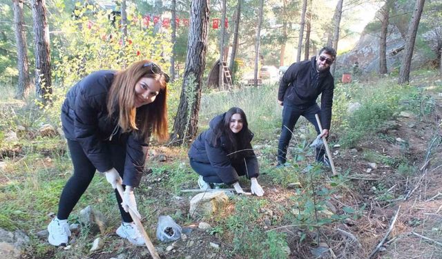 Kazdağlarında Bal Ormanına üniversiteli desteği