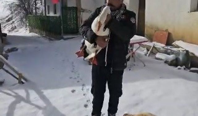 Kazından helallik istedi