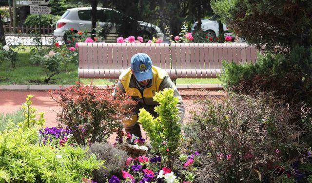 Keçiören’de seradan parklara uzanan yeşil yolculuk