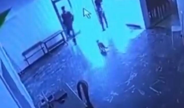 Kediye tekme attı, o anlar kameraya yansıdı