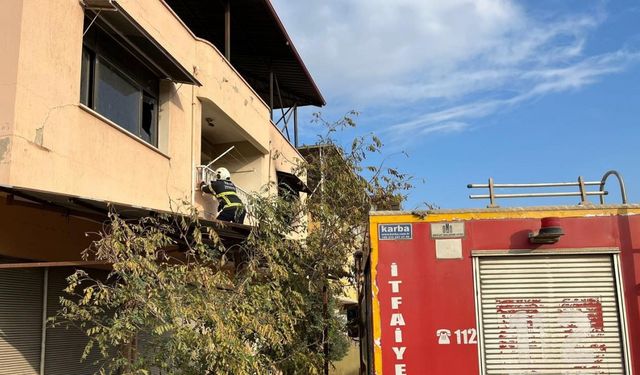 Kırıkhan’da çatıda mahsur kalan kediyi itfaiye kurtardı