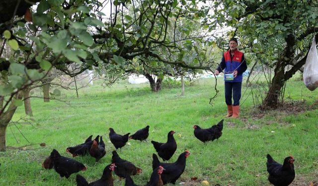 Kocaeli’de kırsal kalkınmaya "kanatlı" destek