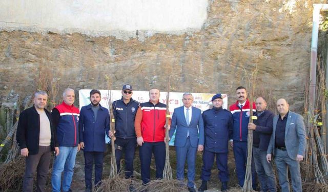 Köşklü üreticilere kestane fidanı dağıtıldı