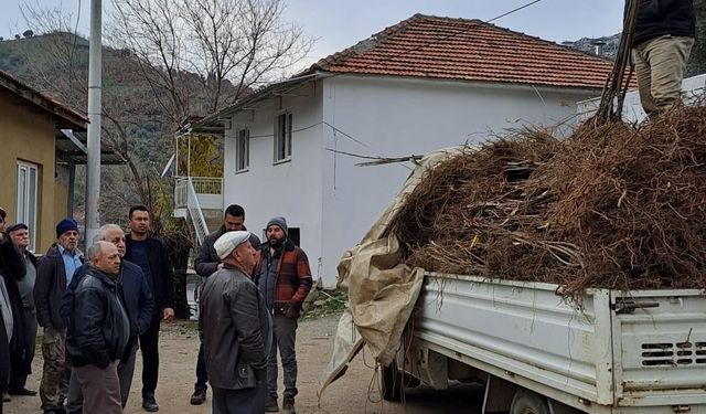 Köşk’te köklü kestane fidanları üreticilere dağıtıldı