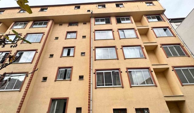 Mahsur kalan kedi için yatak taşıyıp battaniye gerdiler